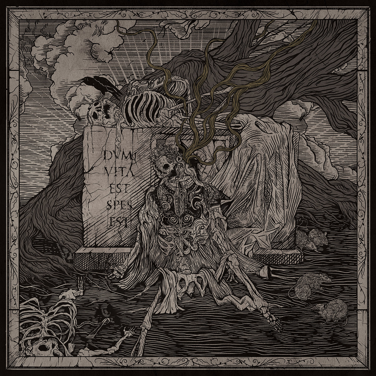 Draugnim - Vulturine