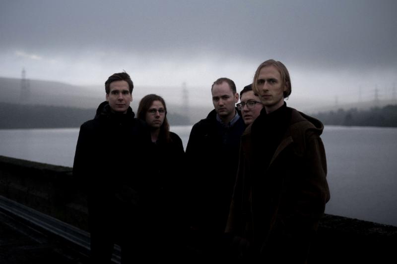 eagulls