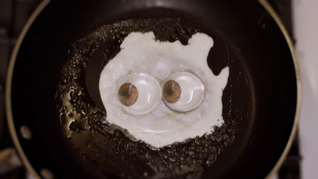 Palehound - "Molly" Video (Stereogum Premiere)