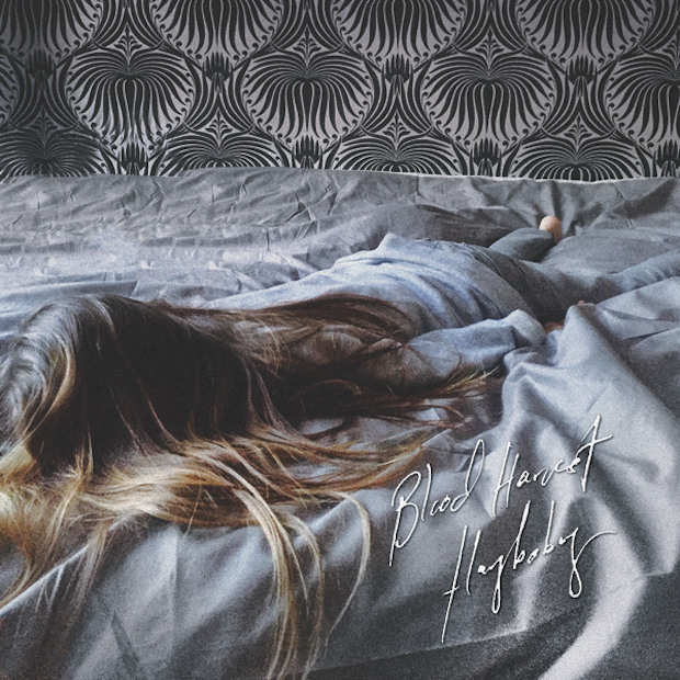 Haybaby - "Pig" (Stereogum Premiere)