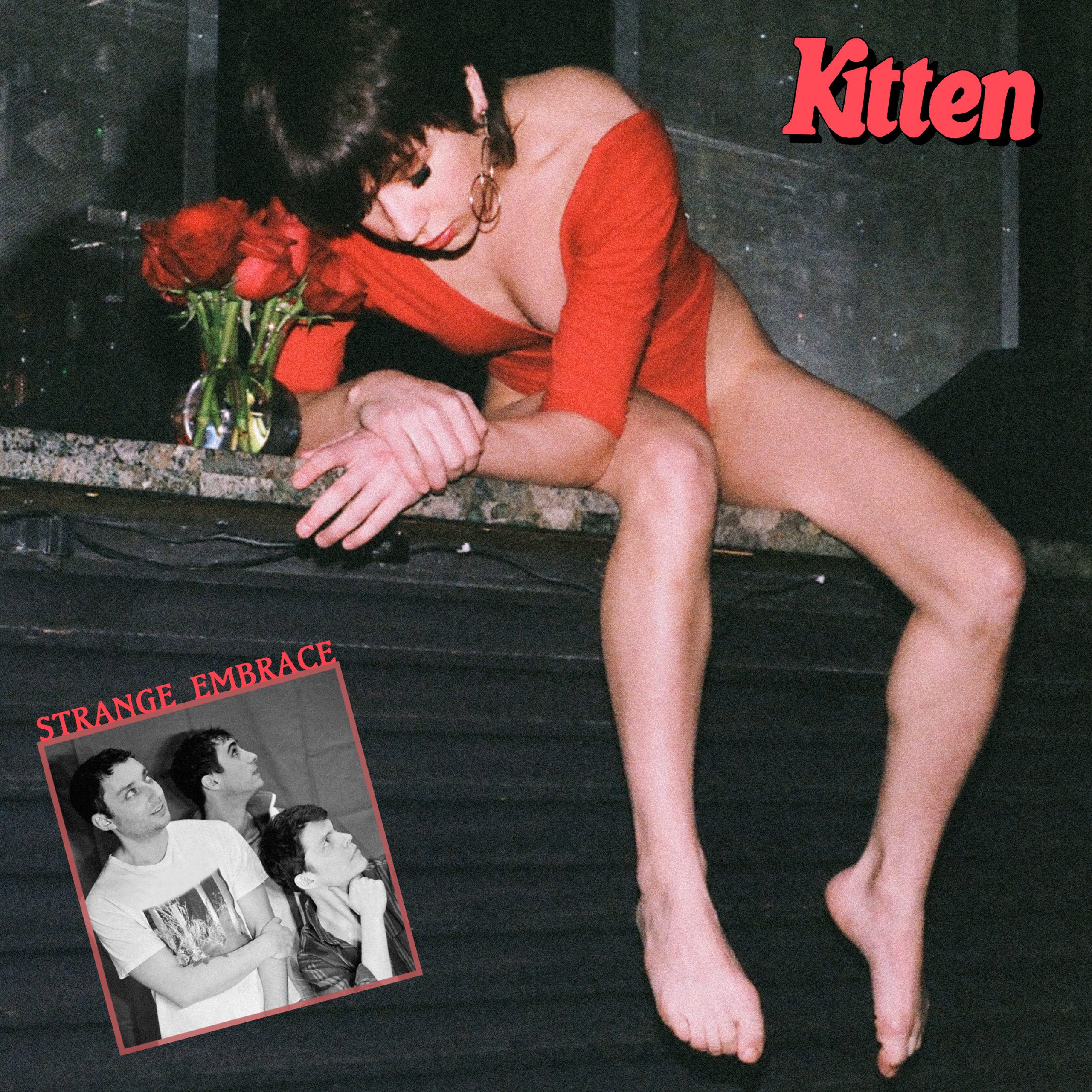 Kitten-Strange-Embrace