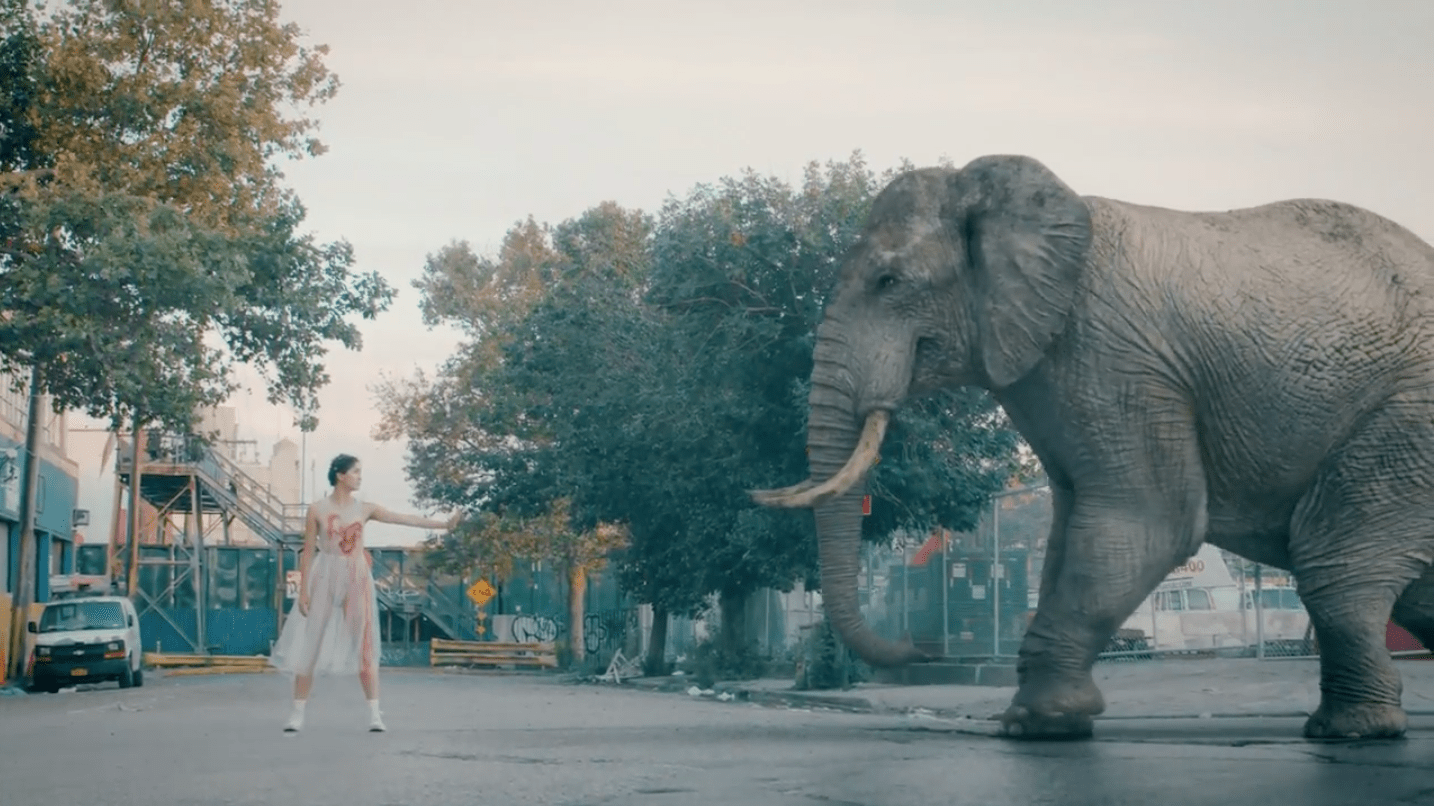 Seasonal Beast - "I Can Make You Disappear" Video