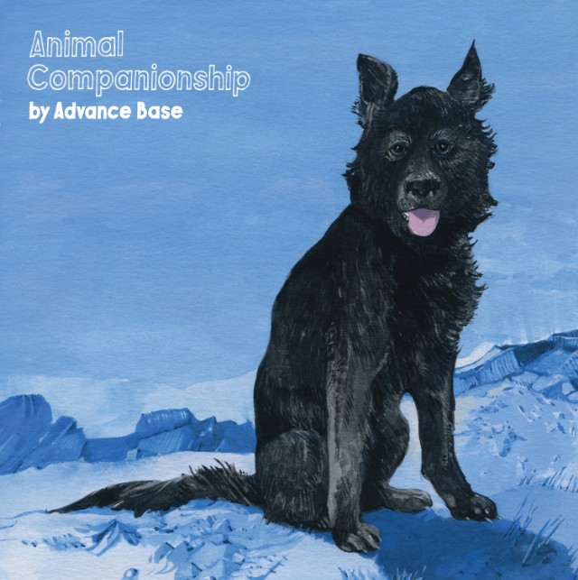 Advance-Base-Animal-Companionship