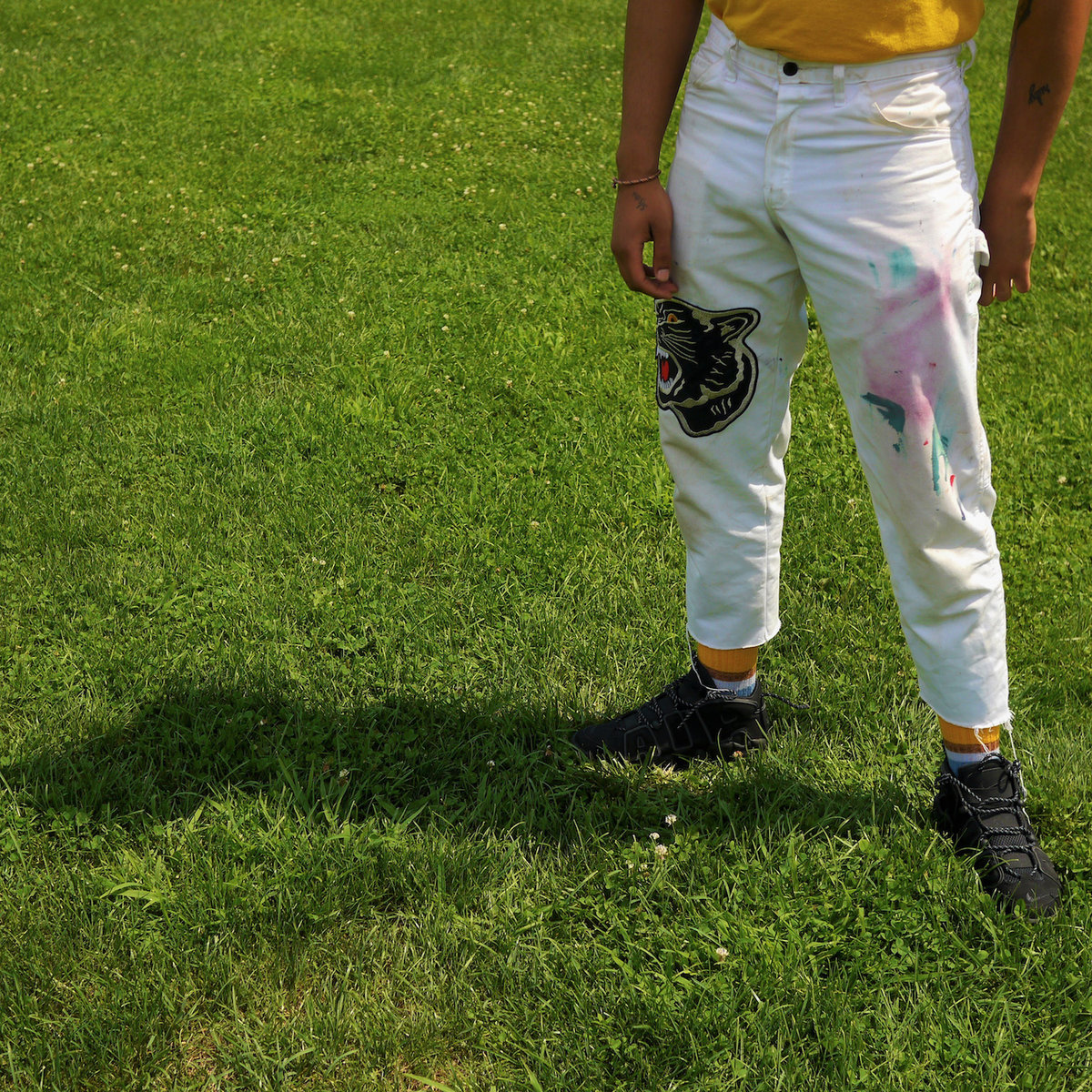 Milo-Budding-Ornithologists-Are-Weary-Of-Tired-Analogies