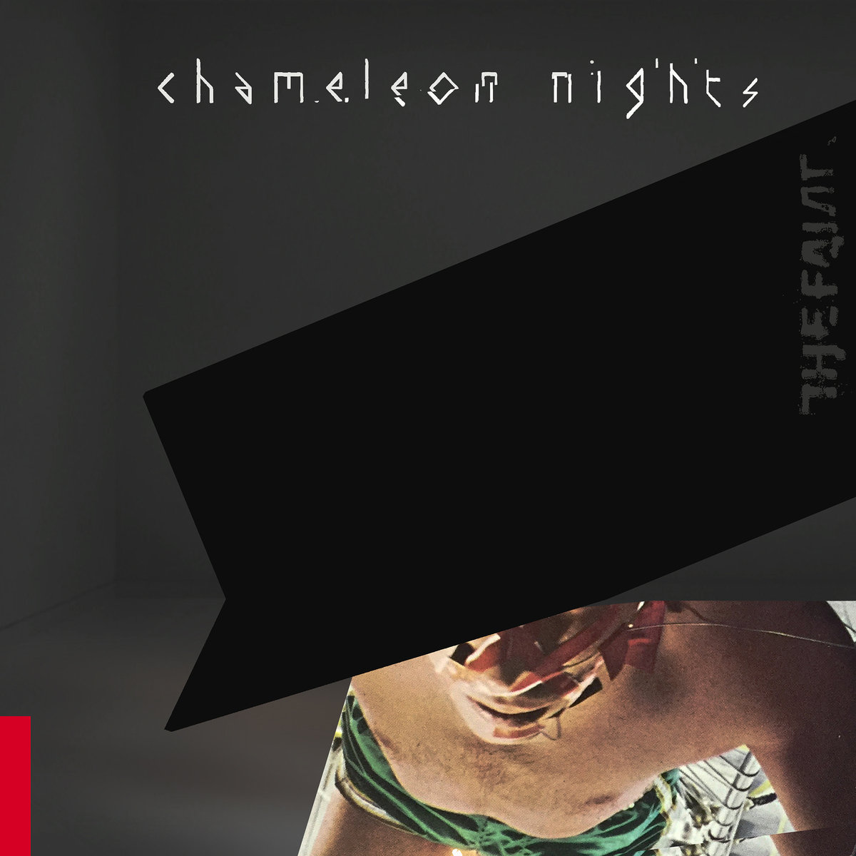 The-Faint-Chameleon-NIghts
