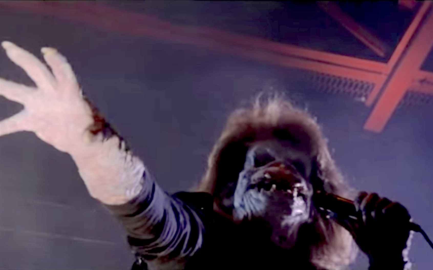 Sal Viviano in Black Roses