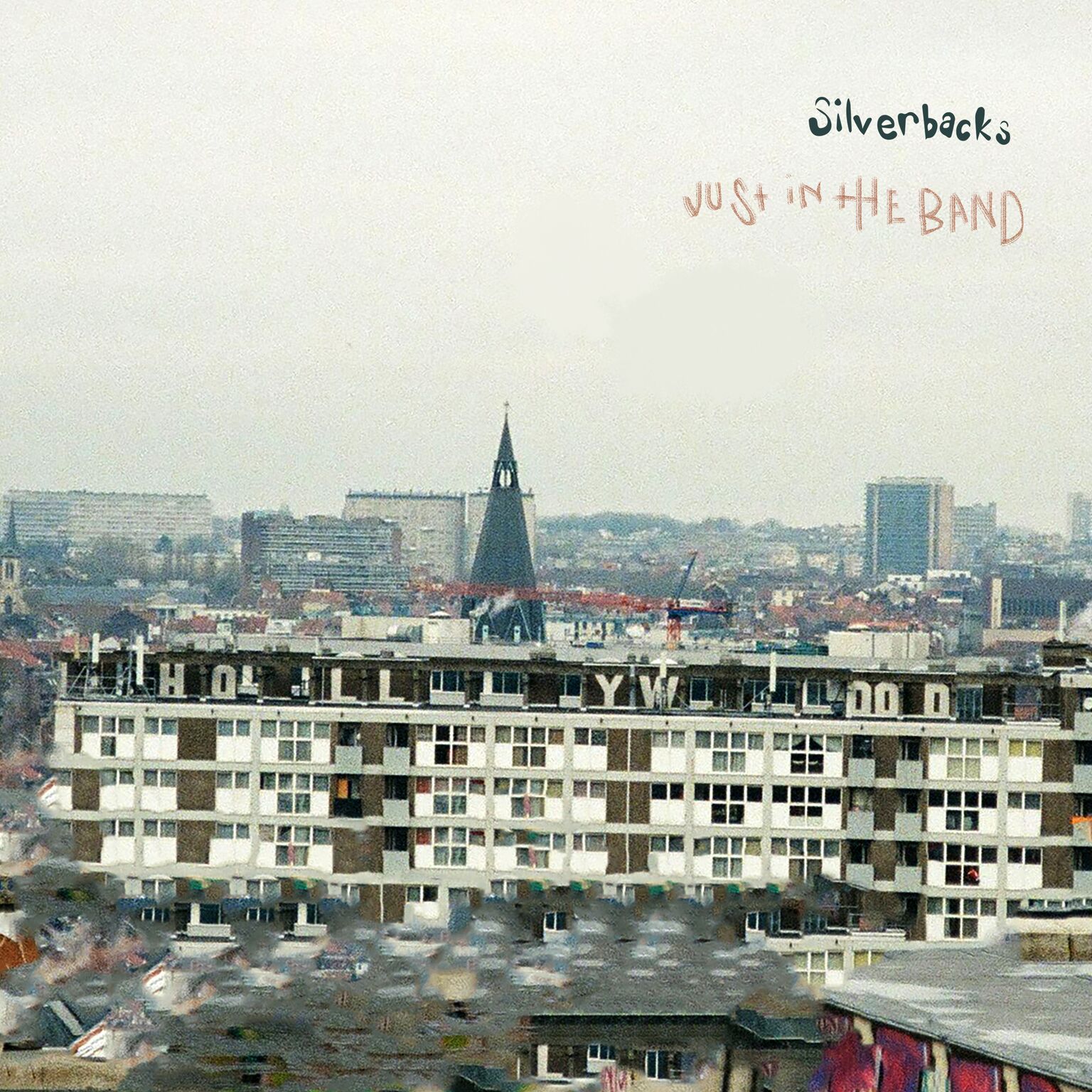 Silverbacks-Just-In-The-Band