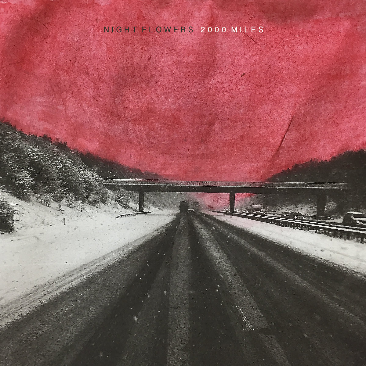 Night-Flowers-2000-Miles