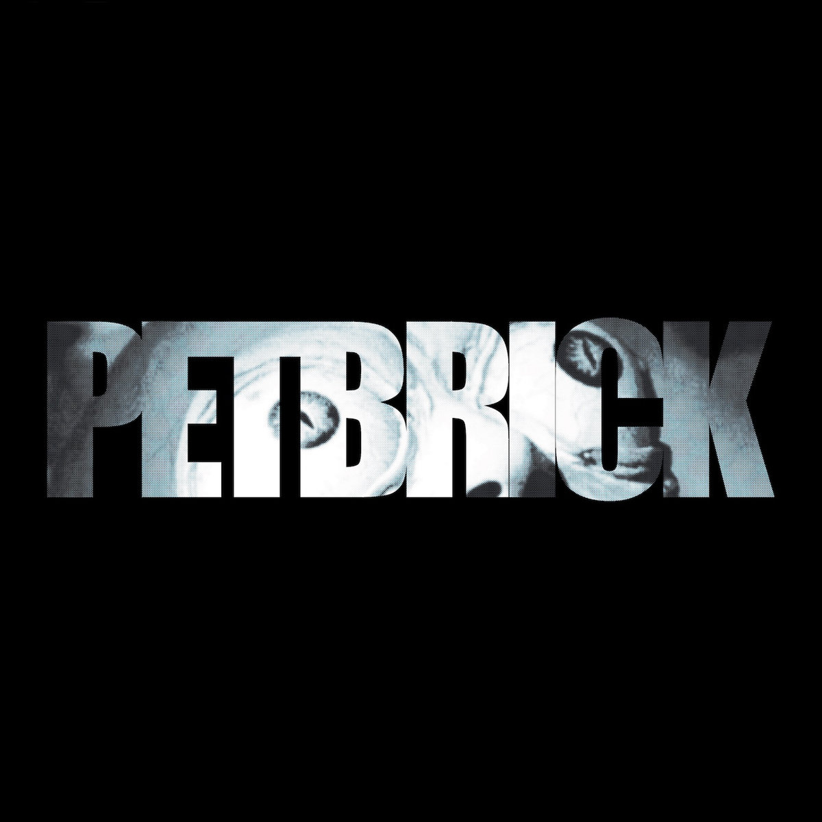Petbrick-Petbrick