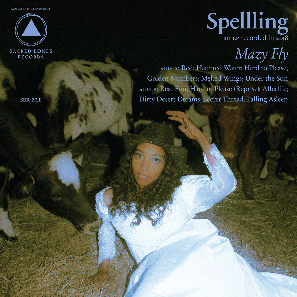 SPELLLING - Mazy Fly