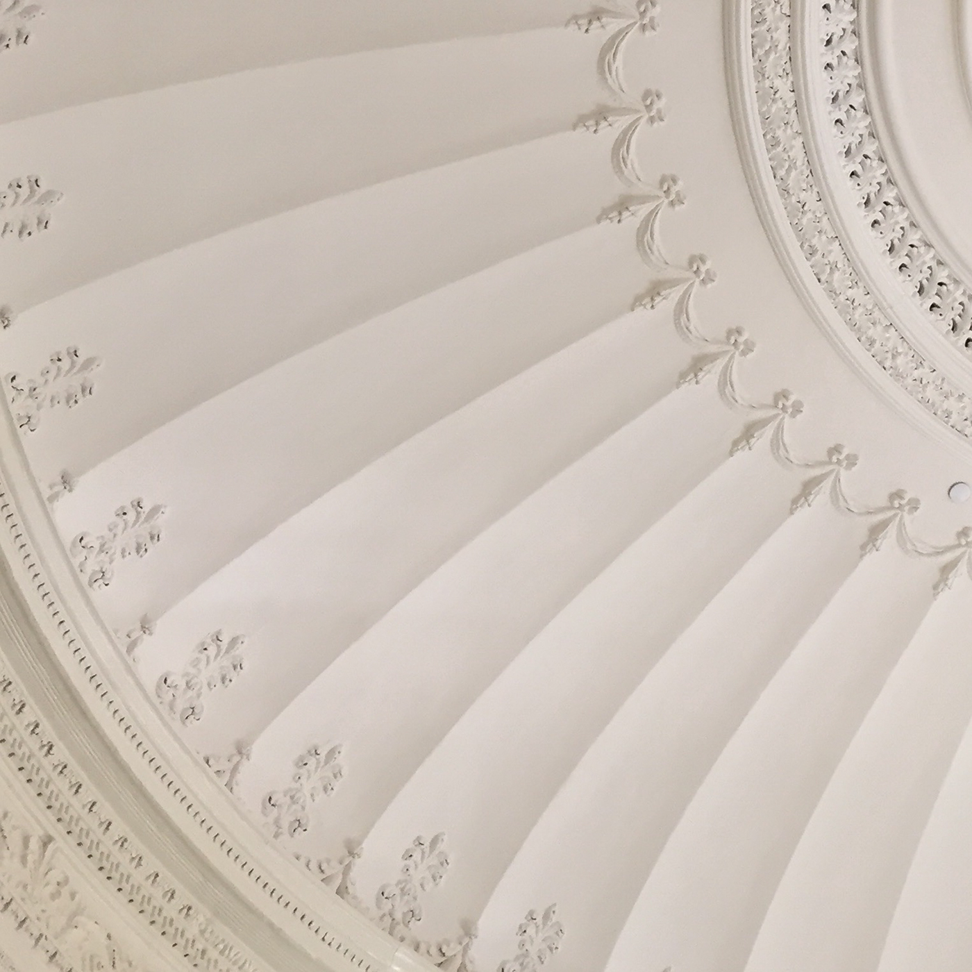 Patio - "New Reality"