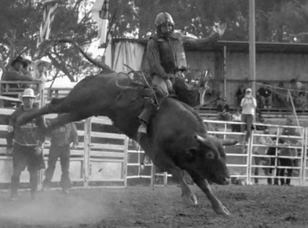 Rolling Blackouts Coastal Fever - "Read My Mind" Video