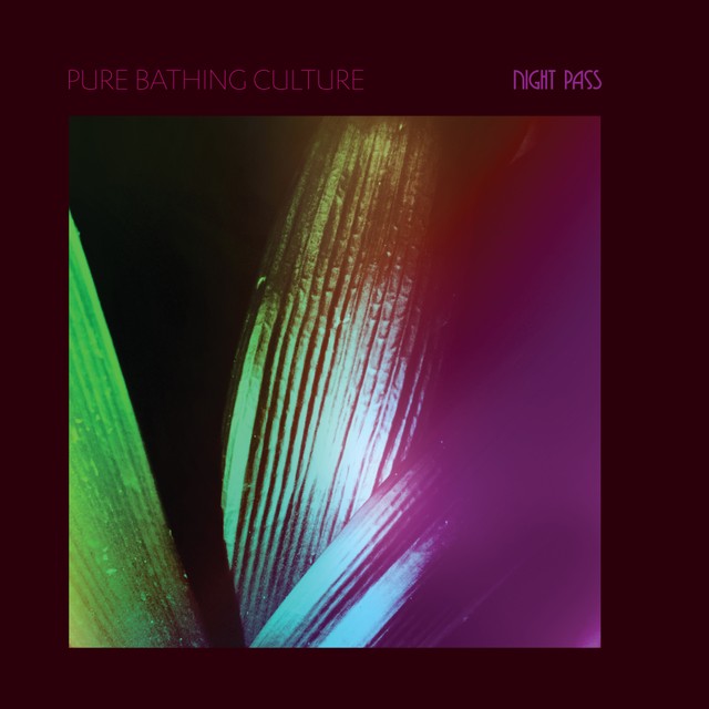 Pure-Bathing-Culture-Night-Pass