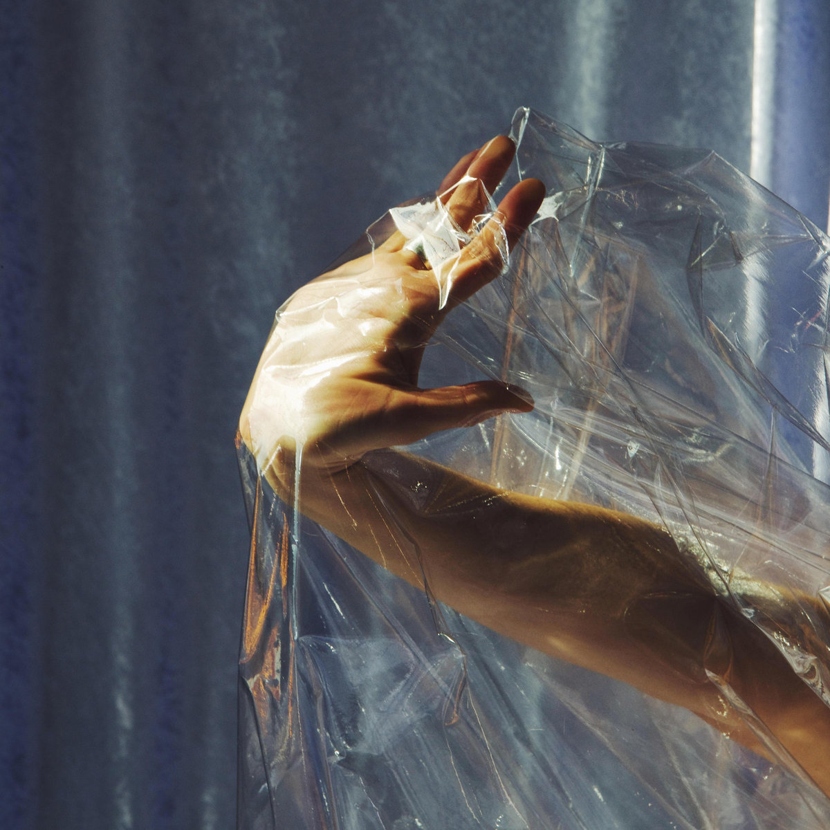 Lisel- Digital Light Field