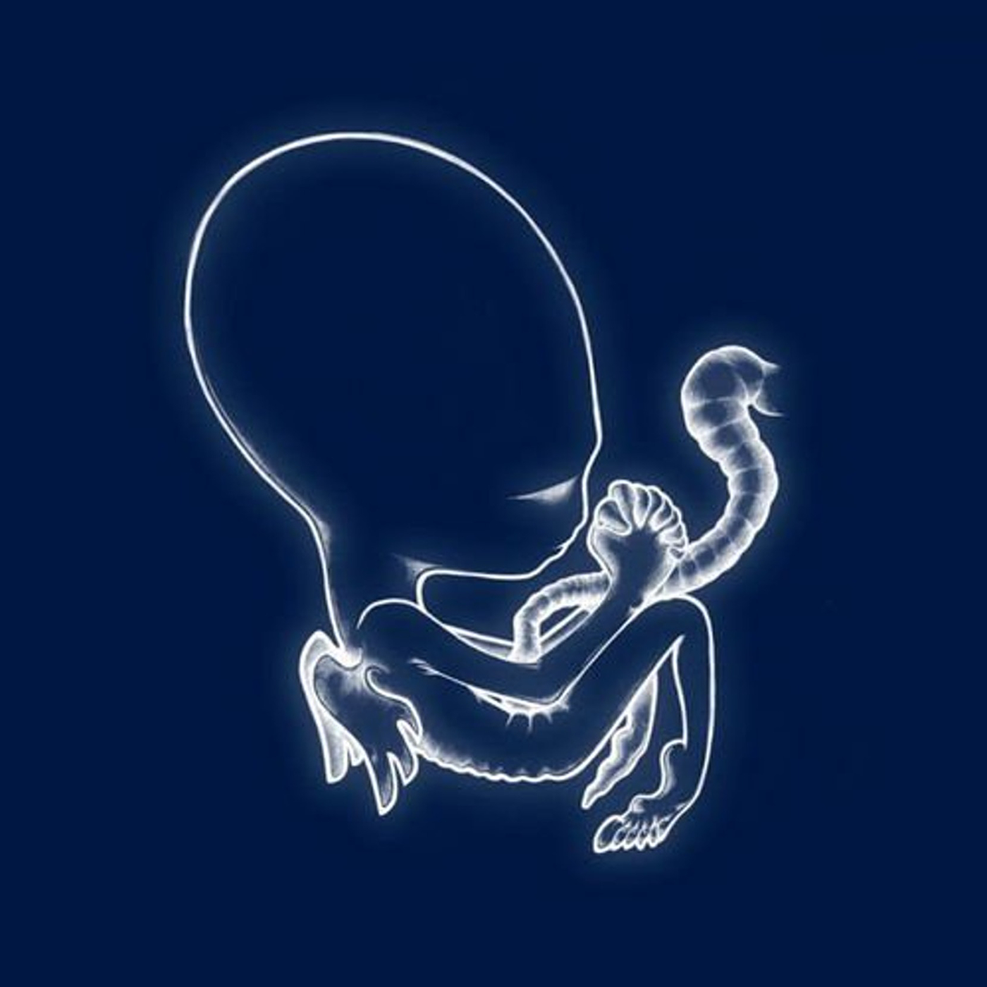 Sigur Rós - Ágætis Byrjun