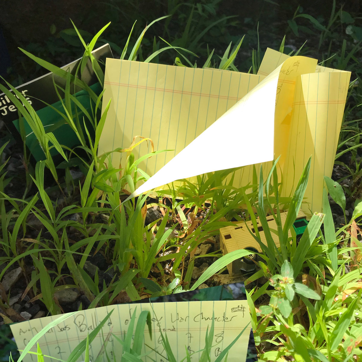 Animal Collective - "Ballad Of Reverend War Character" (Silver Jews Cover)