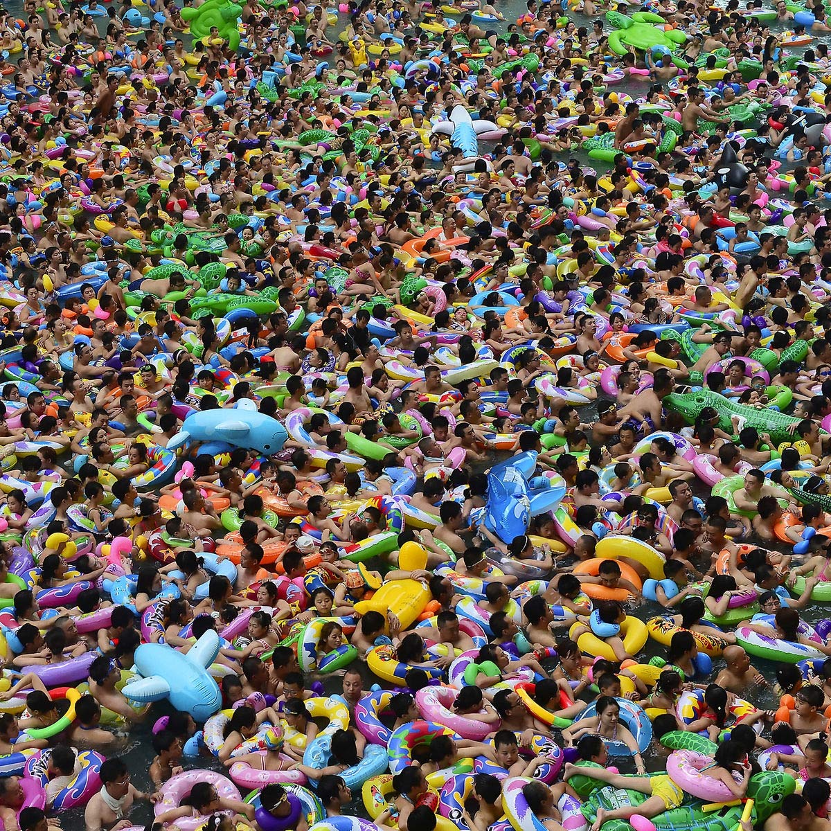 Elbow-Giants-Of-All-Sizes