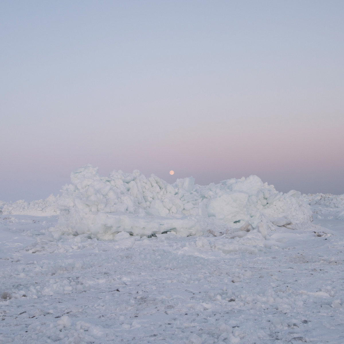 billy-woods-Terror-Management