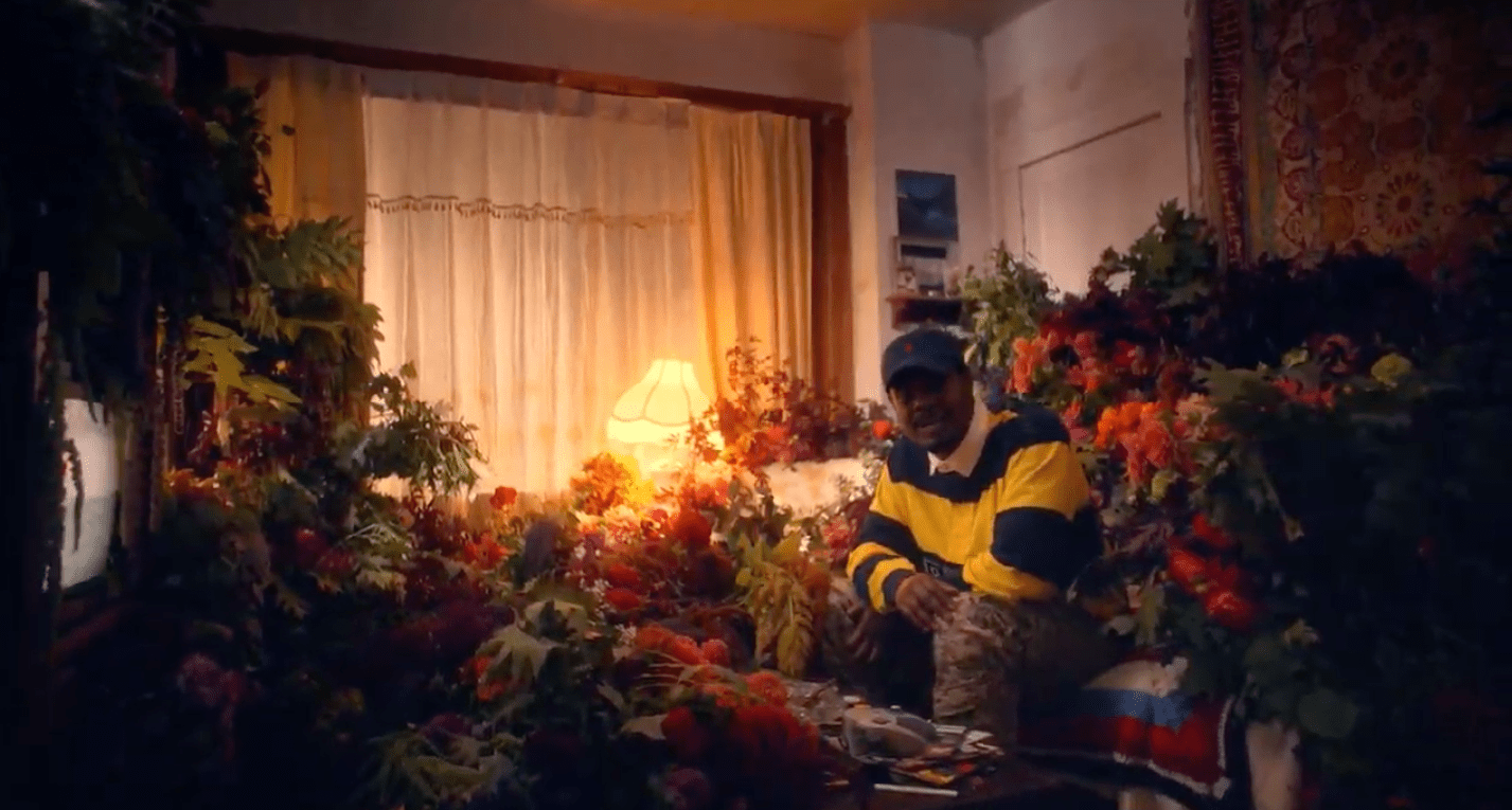 Danny Brown - "Best Life" Video