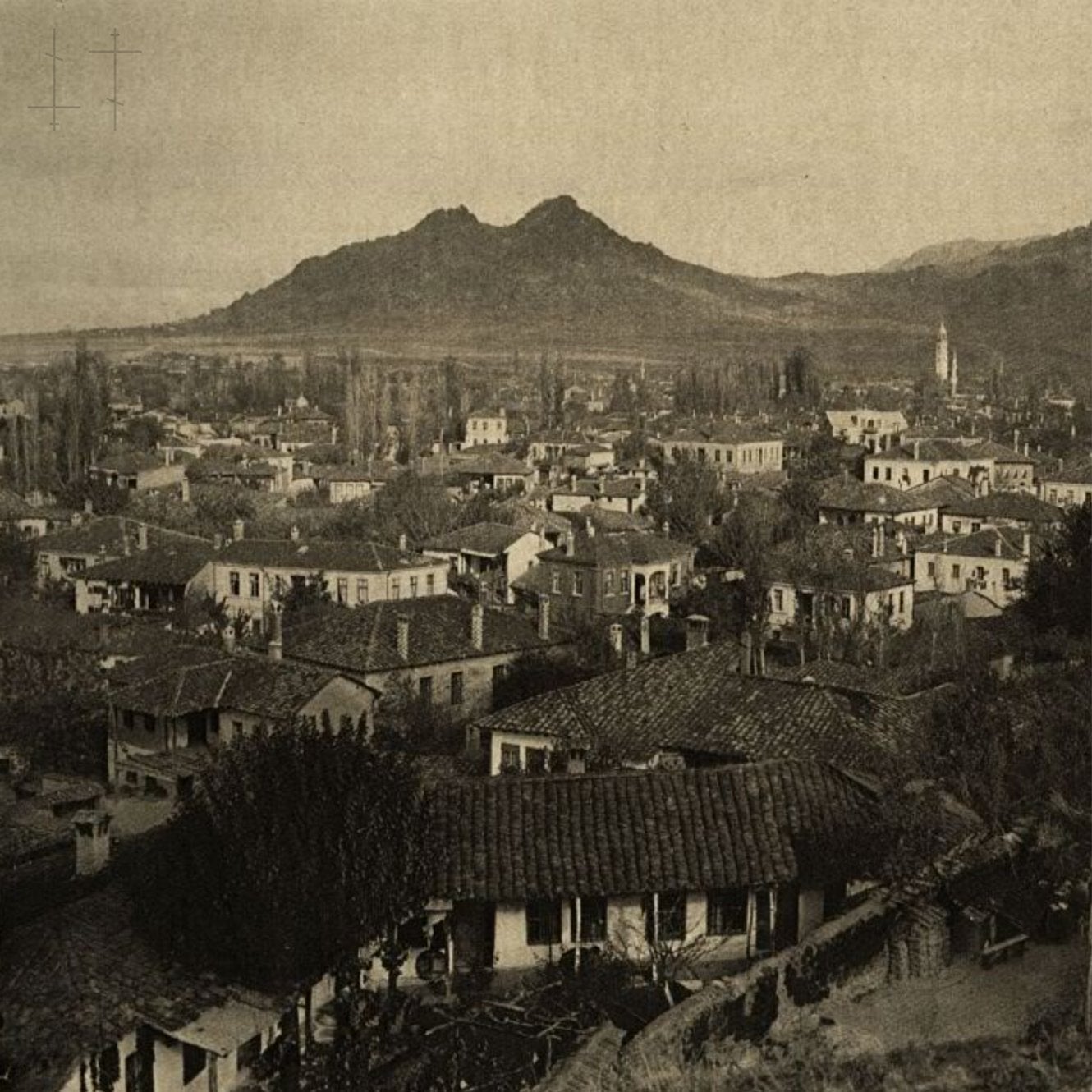 Fireworks - "Demitasse"