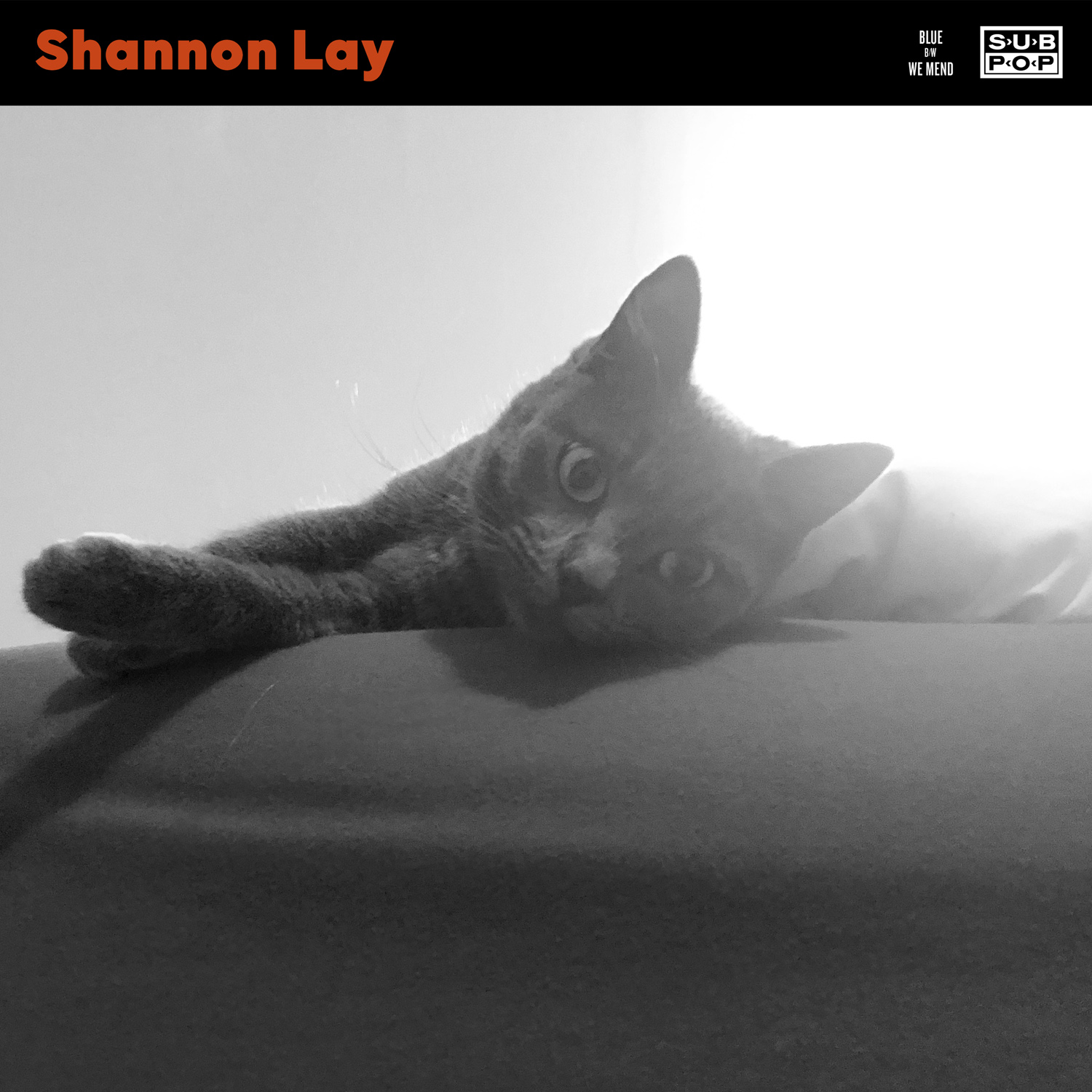Shannon Lay - "Blue"