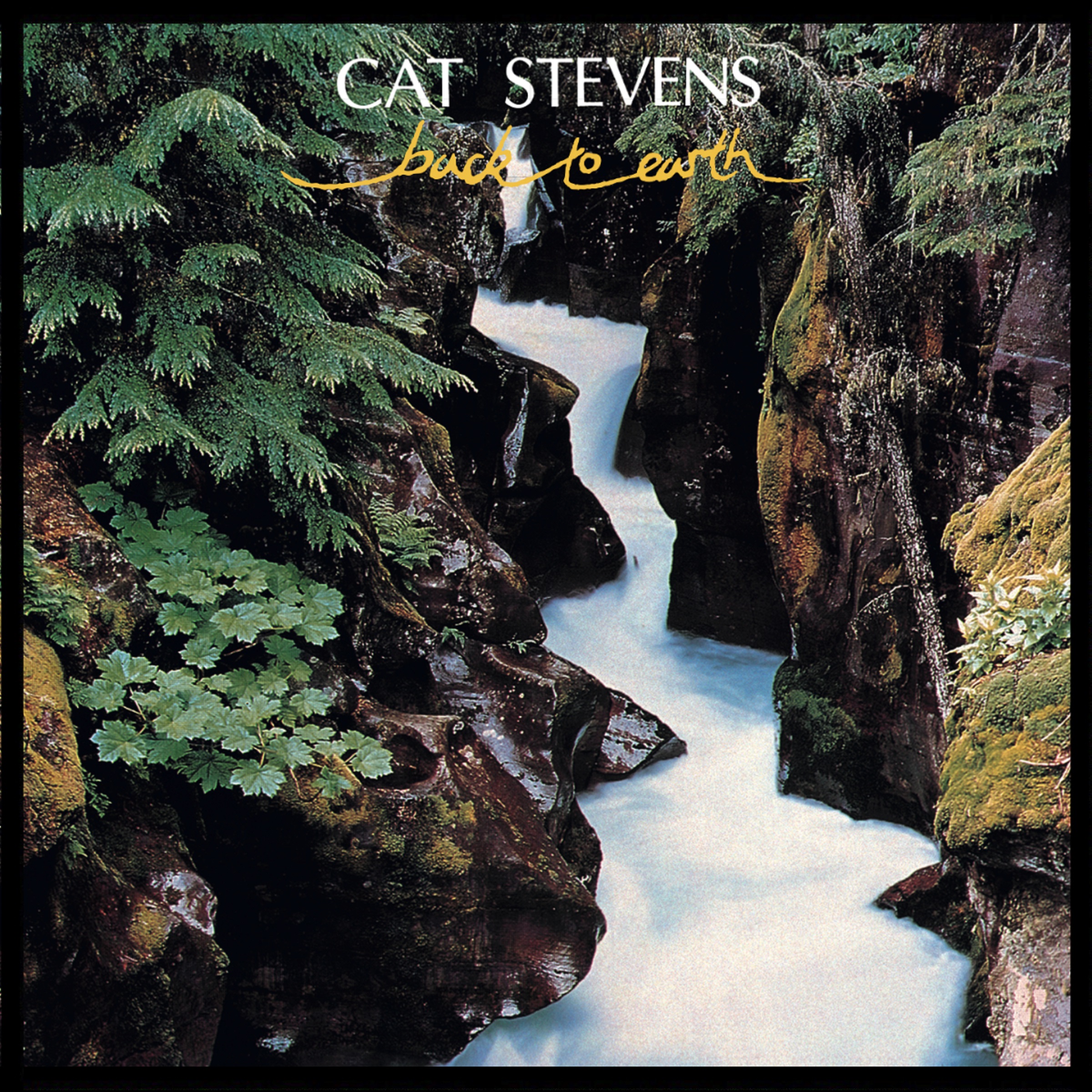 Cat Stevens