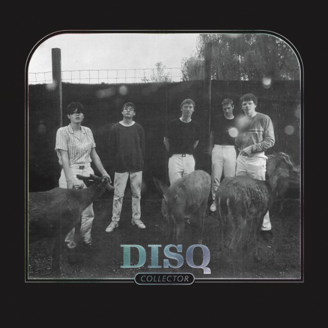 Disq-Collector