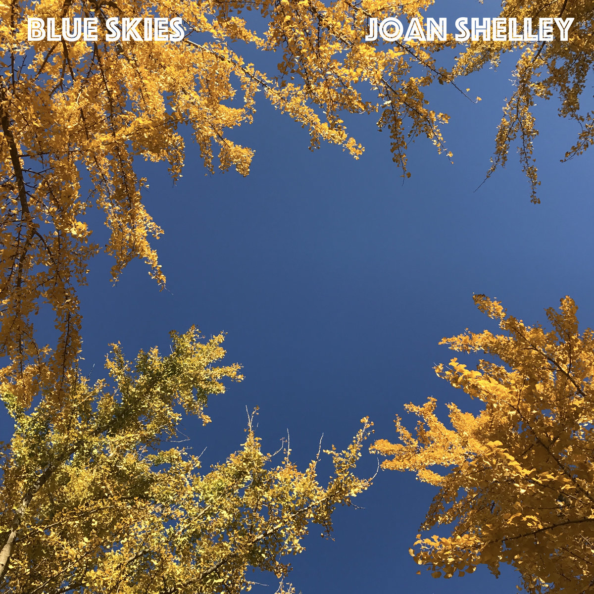 Joan-Shelley-Blue-Skies