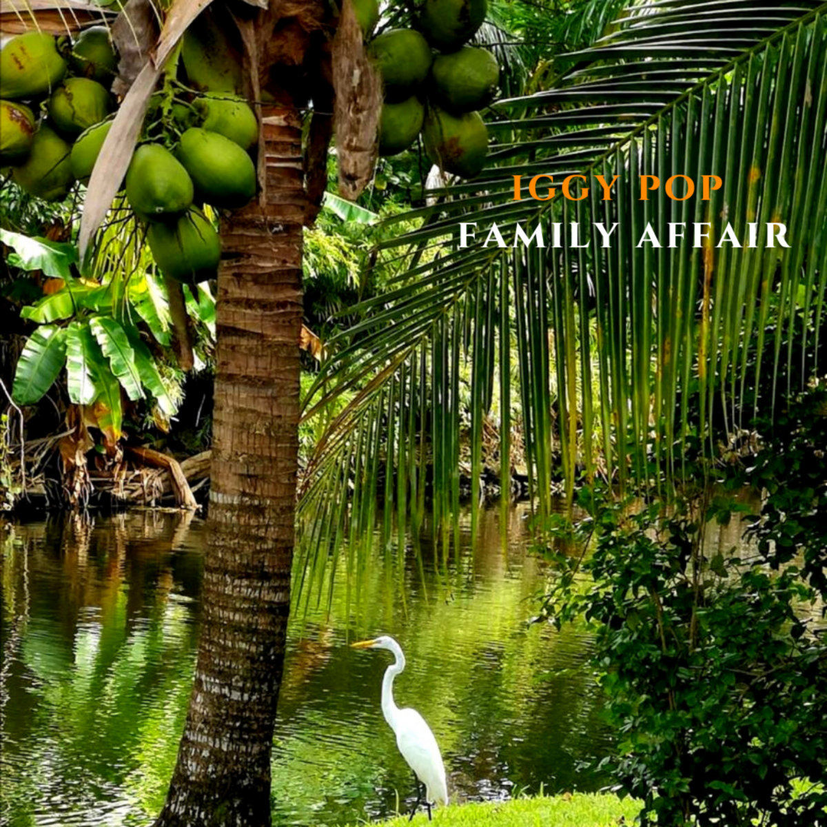 Iggy-Pop-Family-Affair