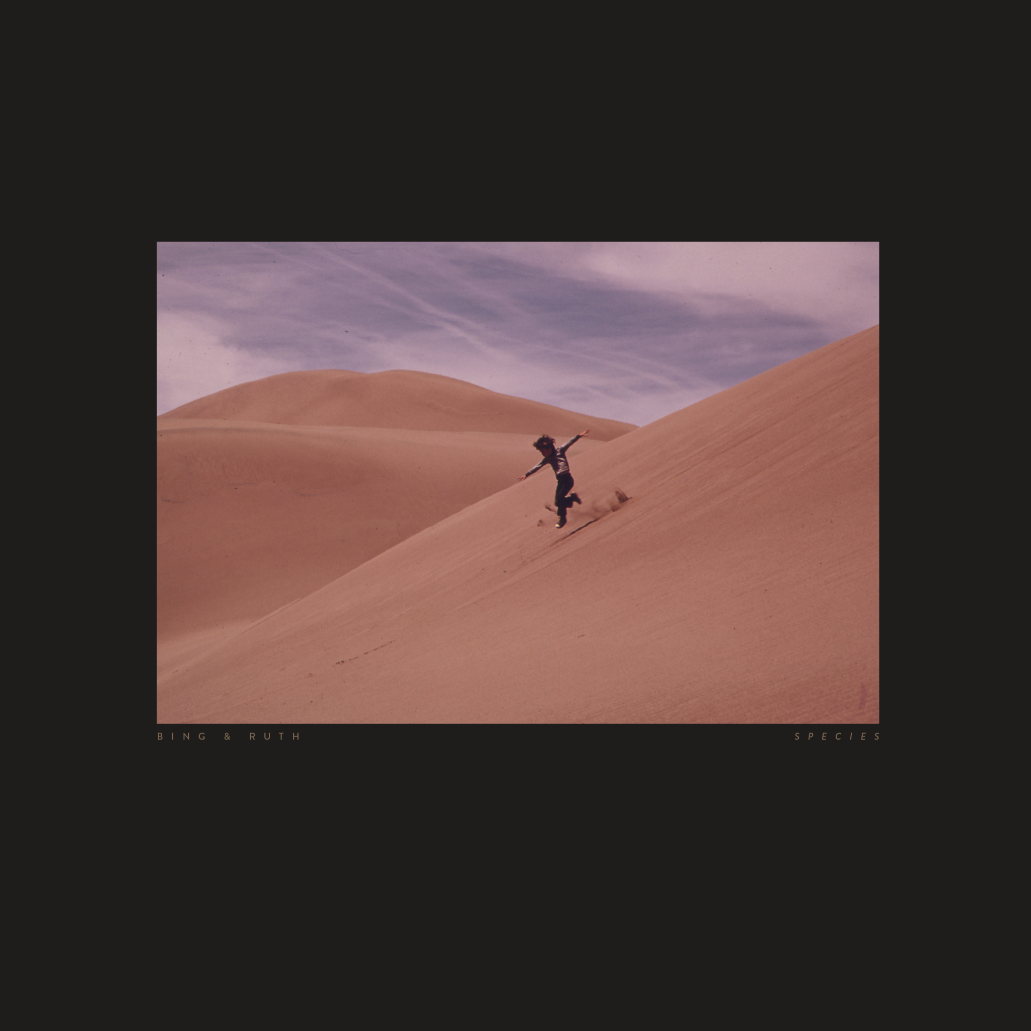 Bing-And-Ruth-Species