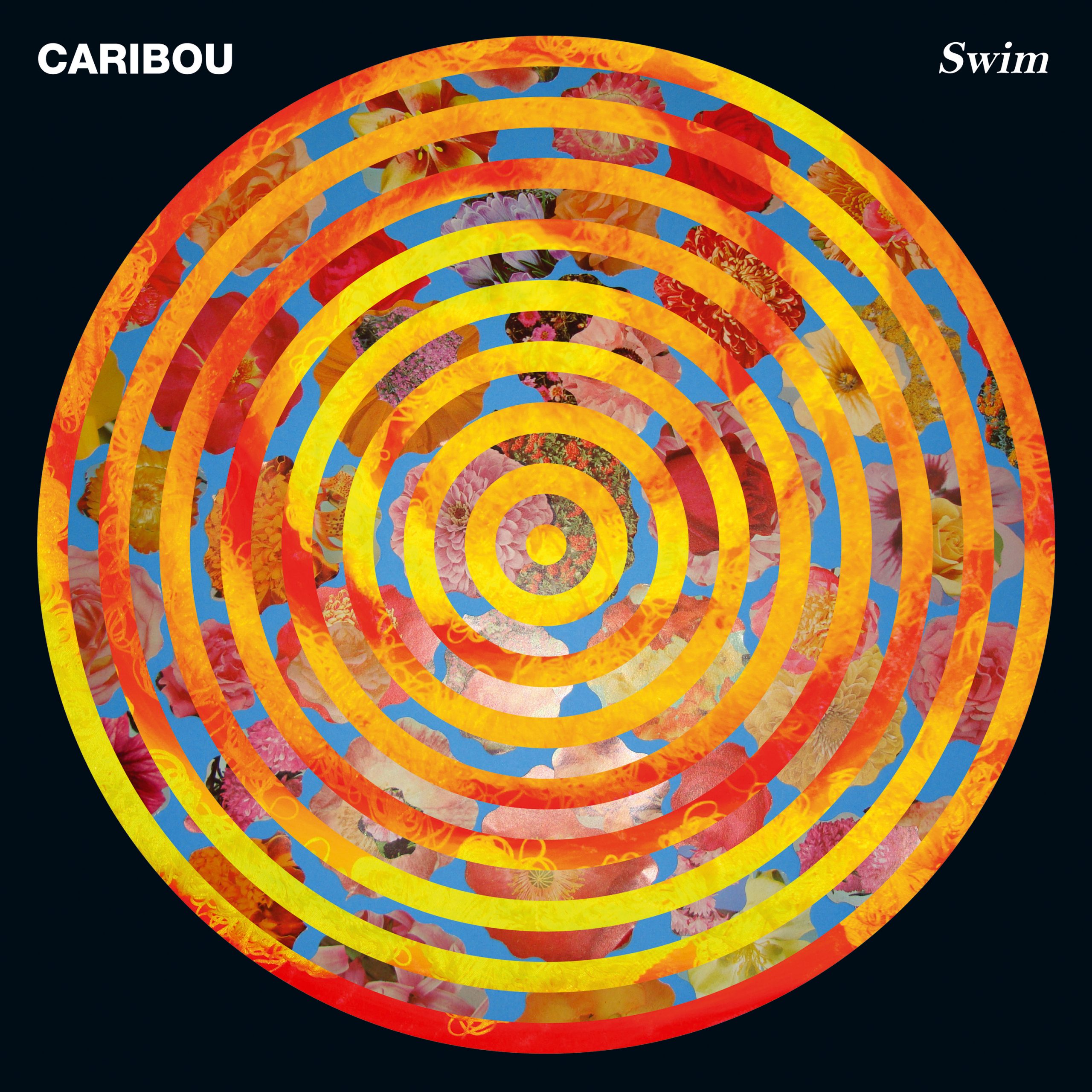 Caribou-Swim