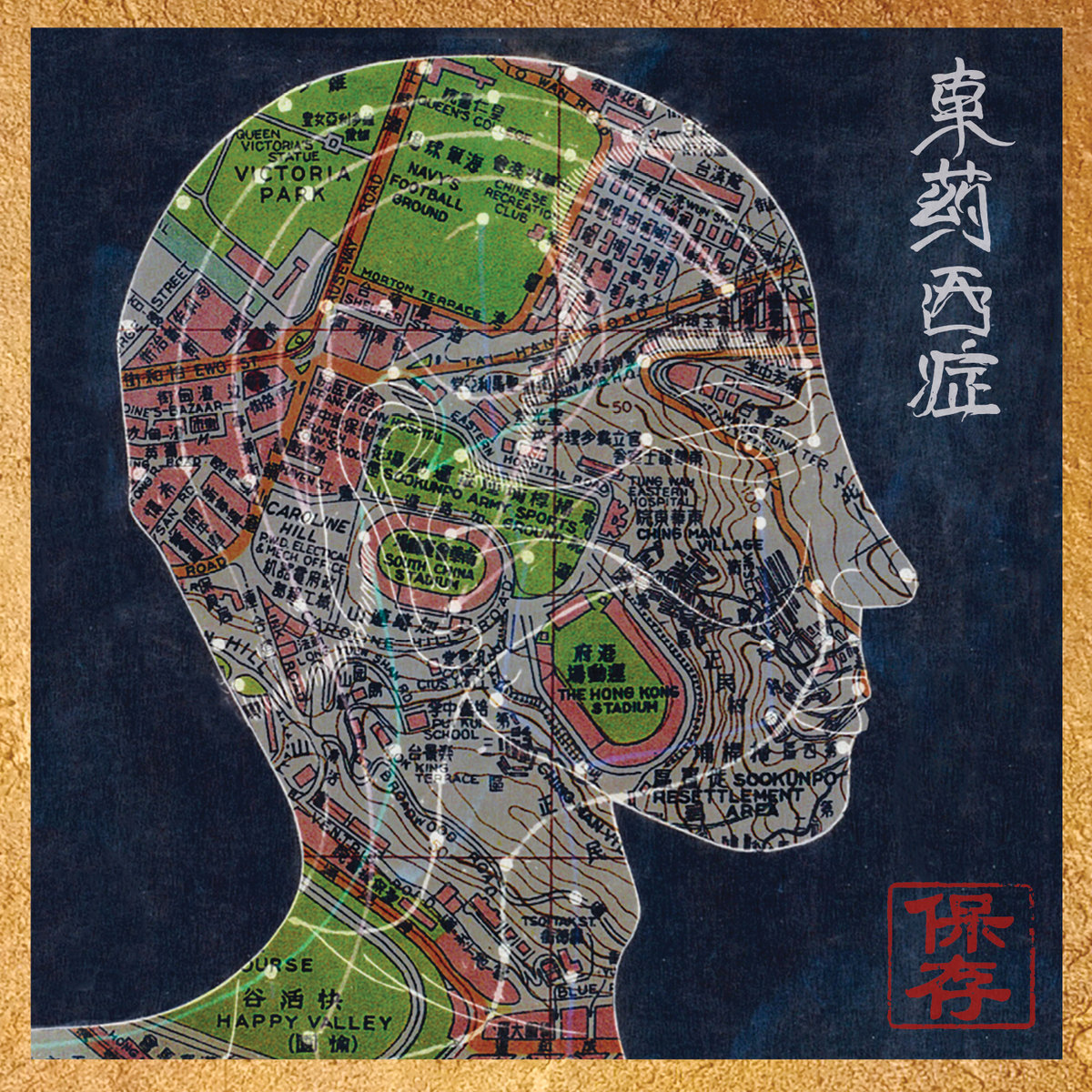 Preservation-Eastern-Medicine-Western-Illness