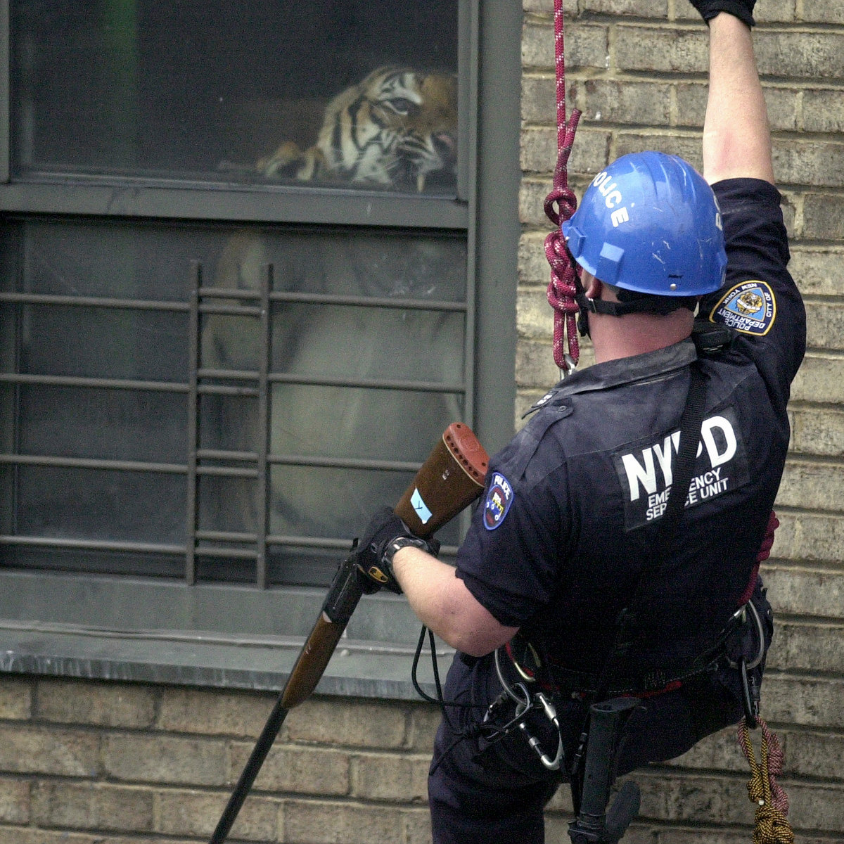 Armand-Hammer-Shrines