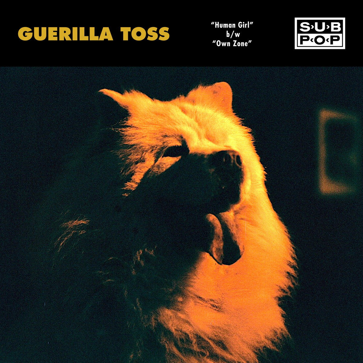 Guerilla-Toss-Human-Girl