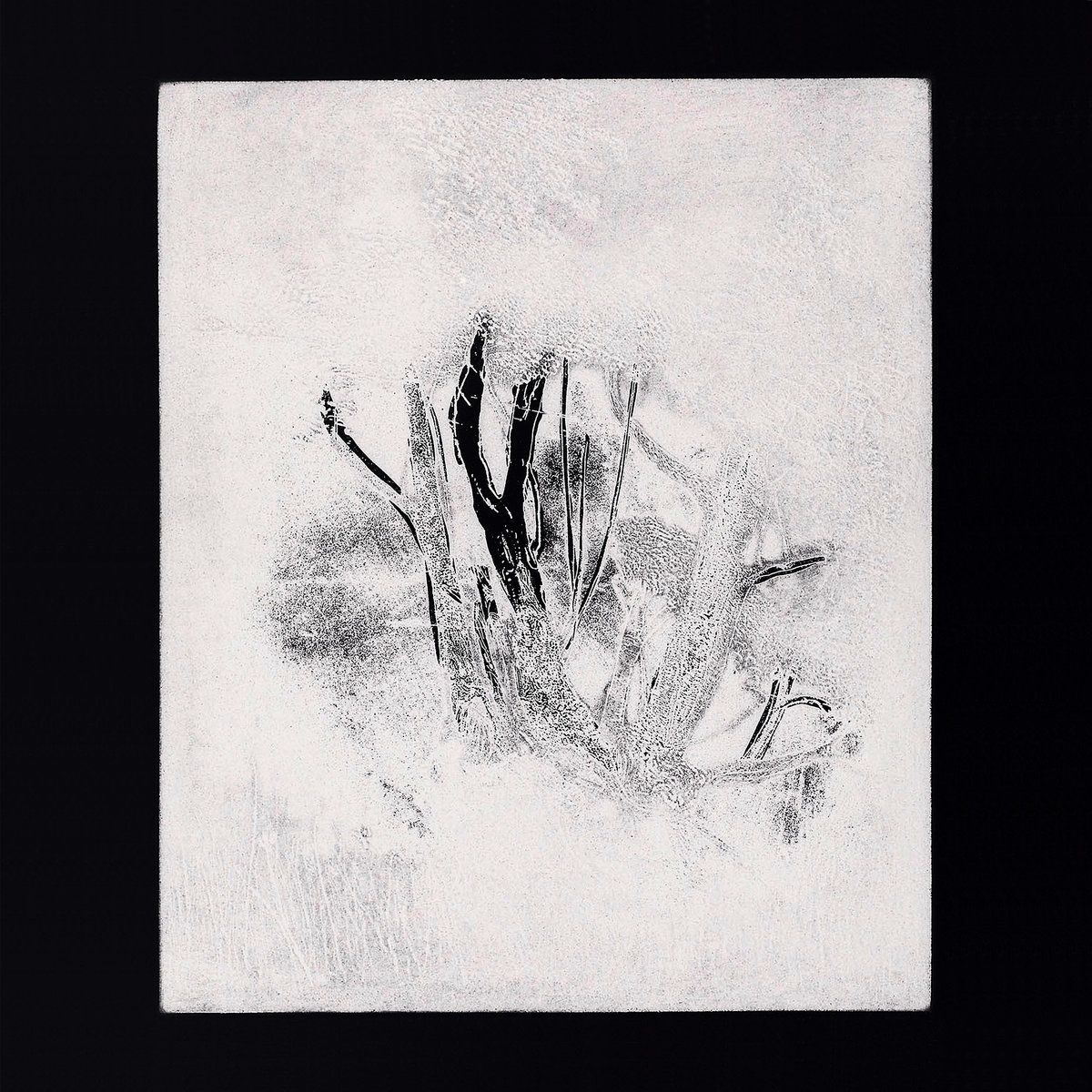 Infant-Island-Collections-1