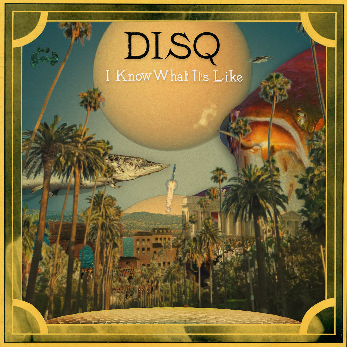 Disq - "I Know What It's Like" (Jeff Tweedy Cover)