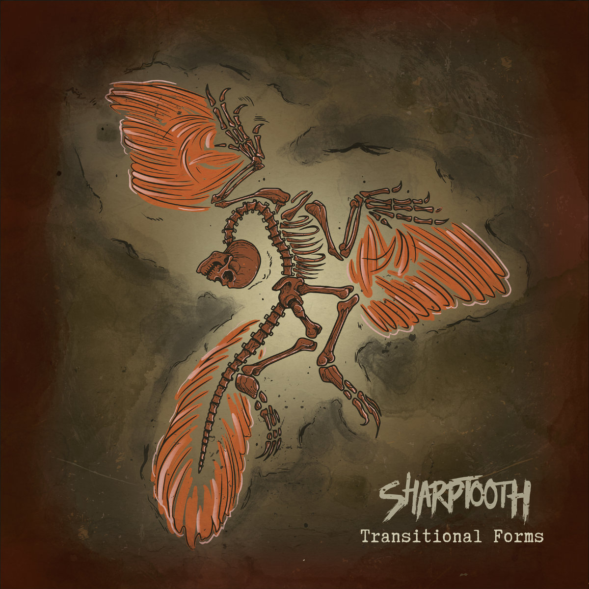 Sharptooth-Transitional-Forms