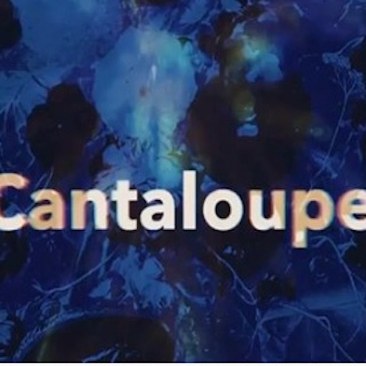 Cantaloupe