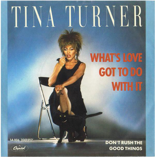 Tina-Turner-Whats-Love-Got-To-Do-With-It