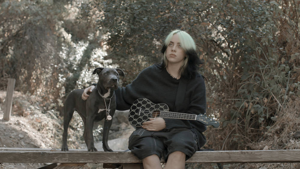 Billie-Eilish