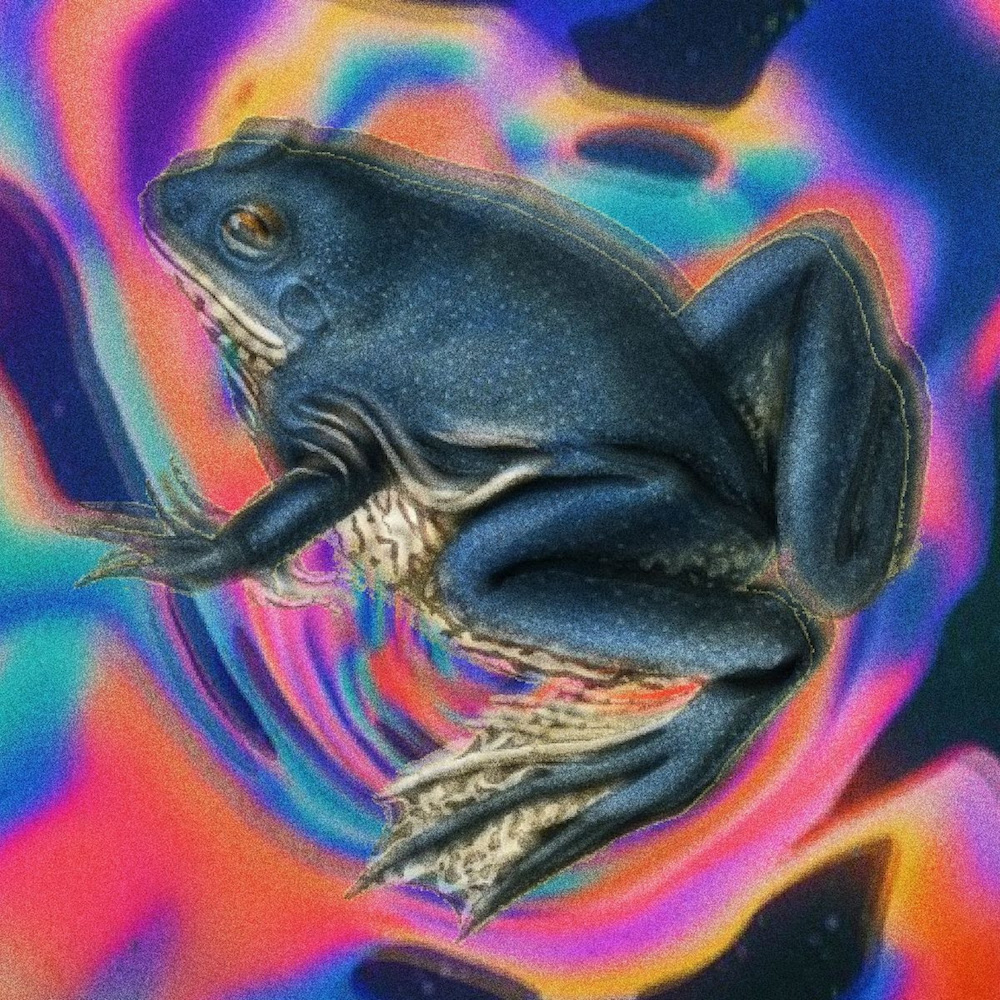 Hundredth-Bottle-It-Up