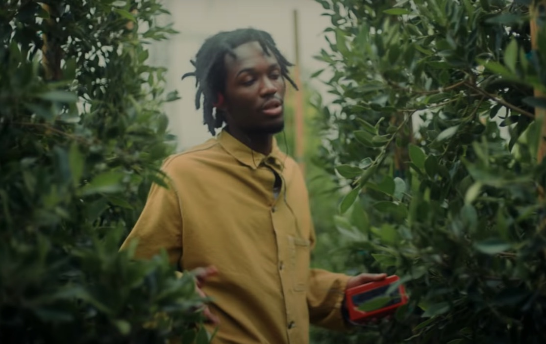 Saba-Mrs-Whoever-video
