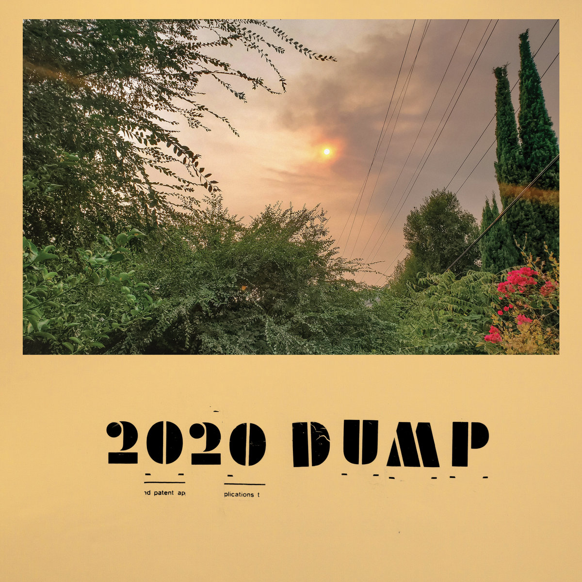 2020 Dump