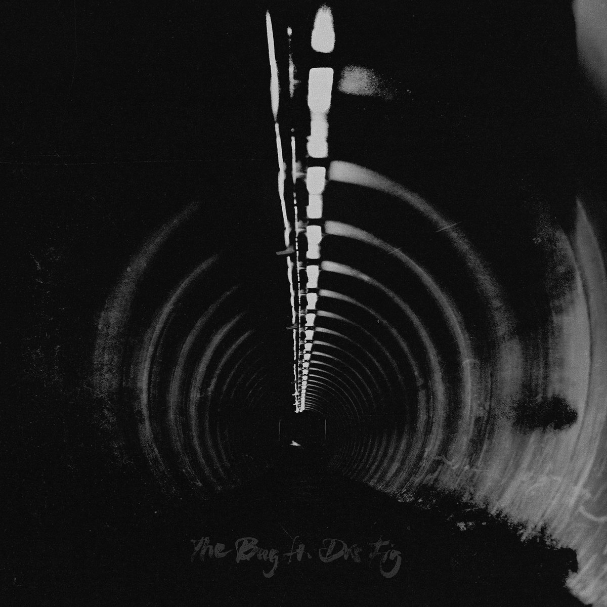 The-Bug-Ft-Dis-Fig-In-Blue