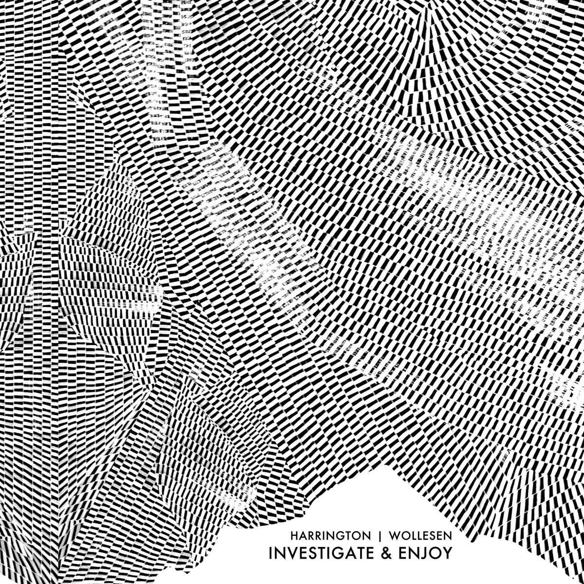 Dave Harrington & Kenny Wollesen