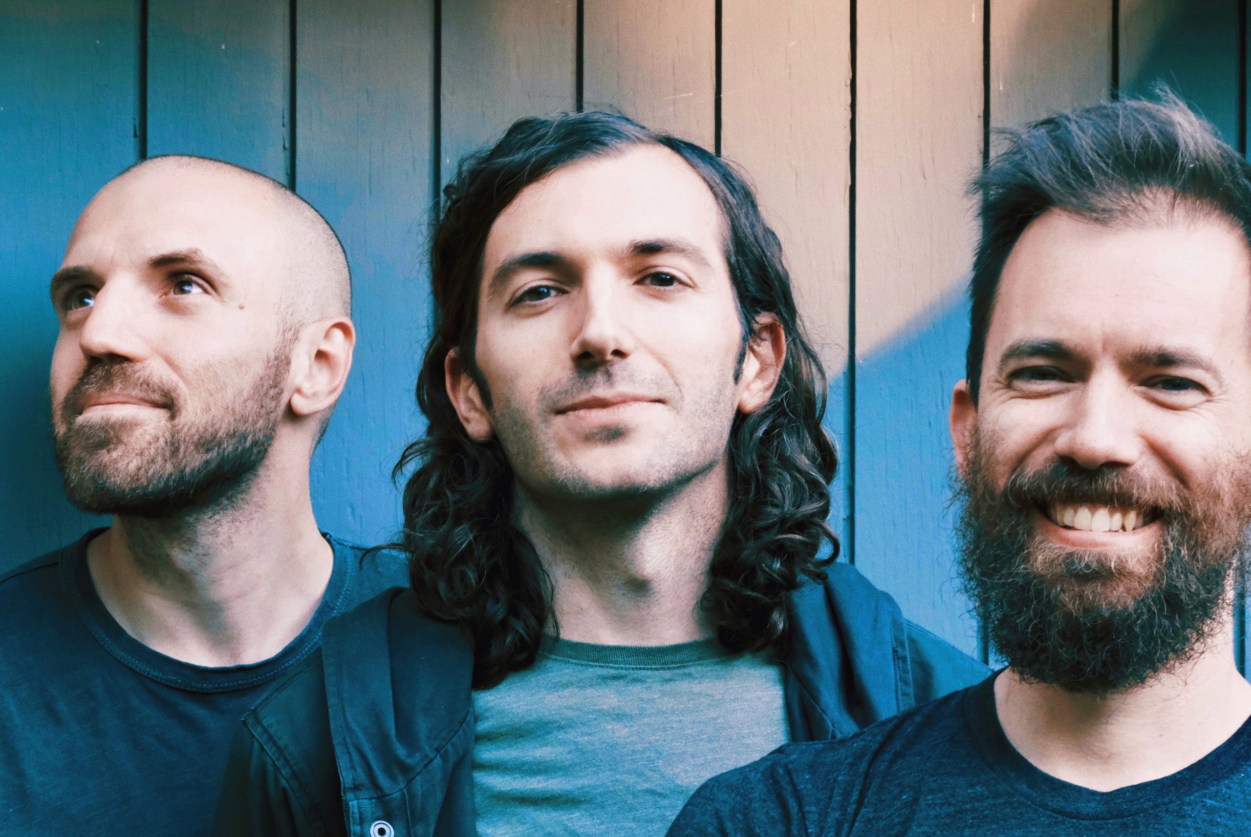 A Great Big Pile Of Leaves