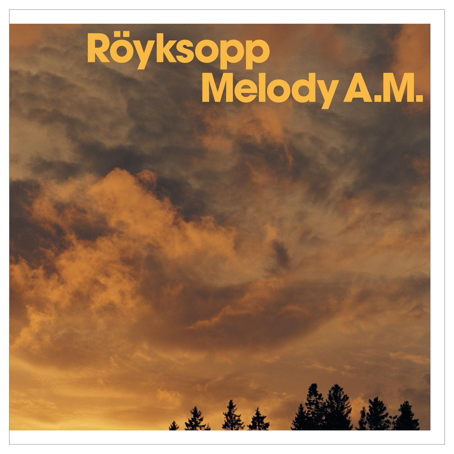 Melody A.M. Turns 20