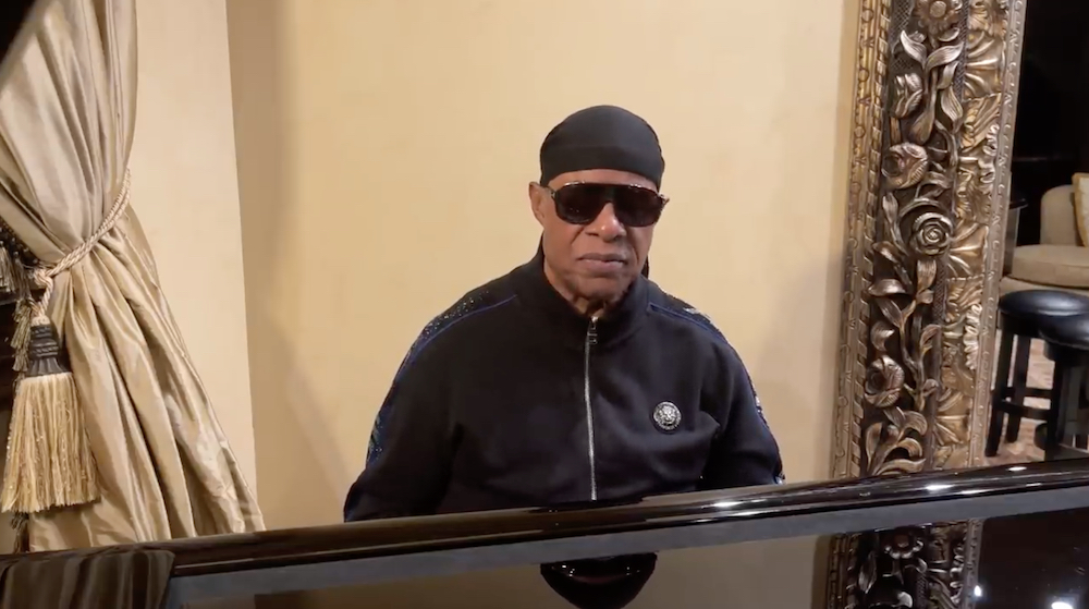 Stevie Wonder Voting Rights