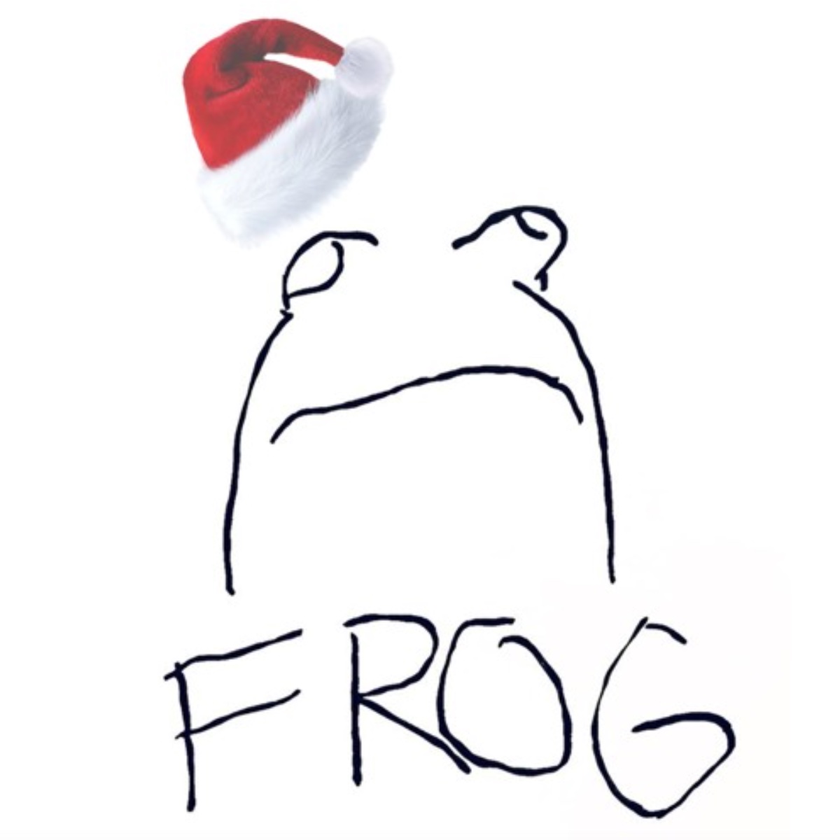 Frog - Did Santa Come