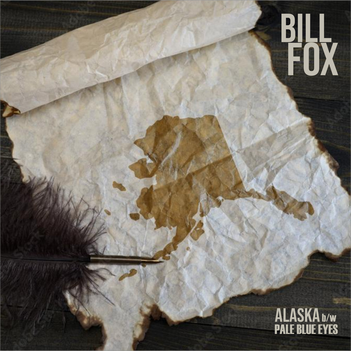 Bill Fox – “Alaska” & “Pale Blue Eyes” (The Velvet Underground Cover)